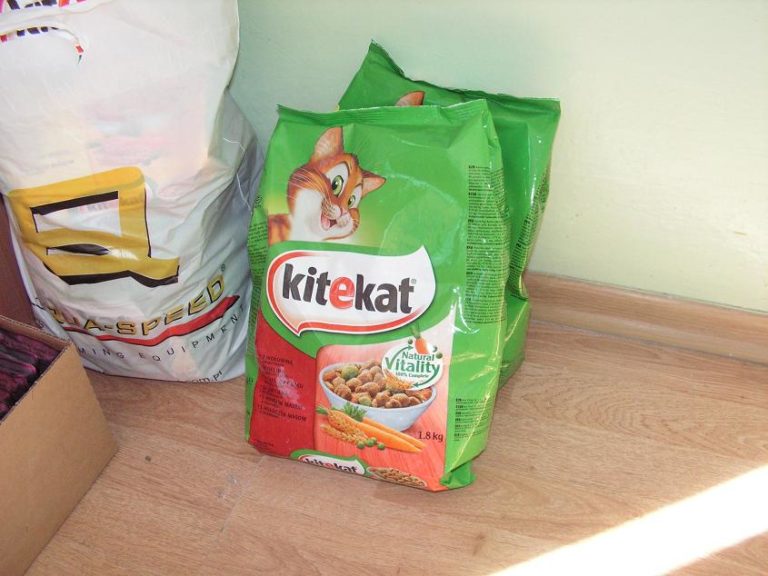 Zbiórka karmy dla kotów